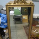 459 3010 MIRROR